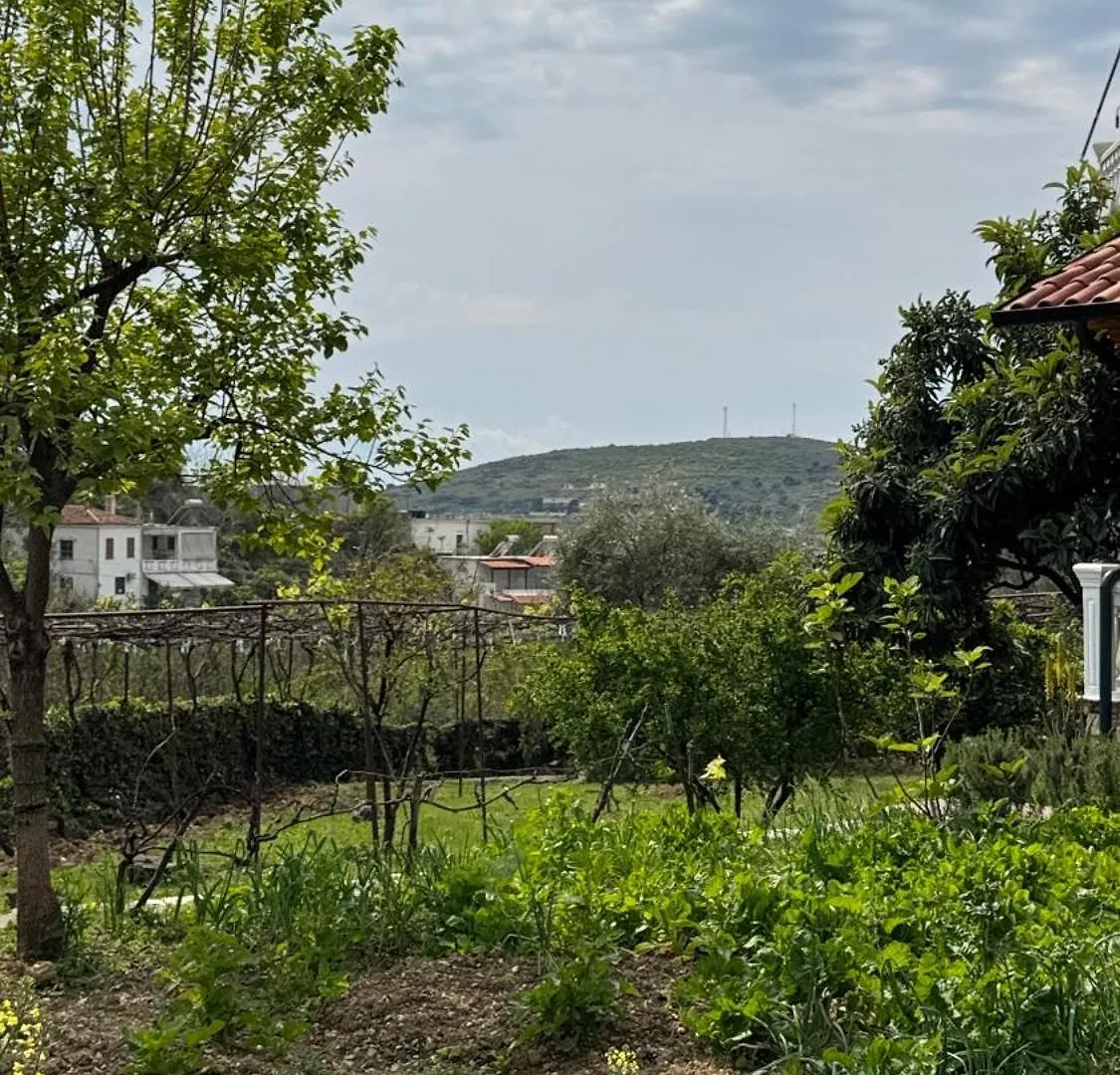 Antonia Rooms Qeparo 0*,  Albania