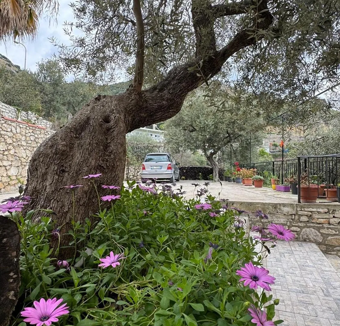 Antonia Rooms Qeparo Guest house