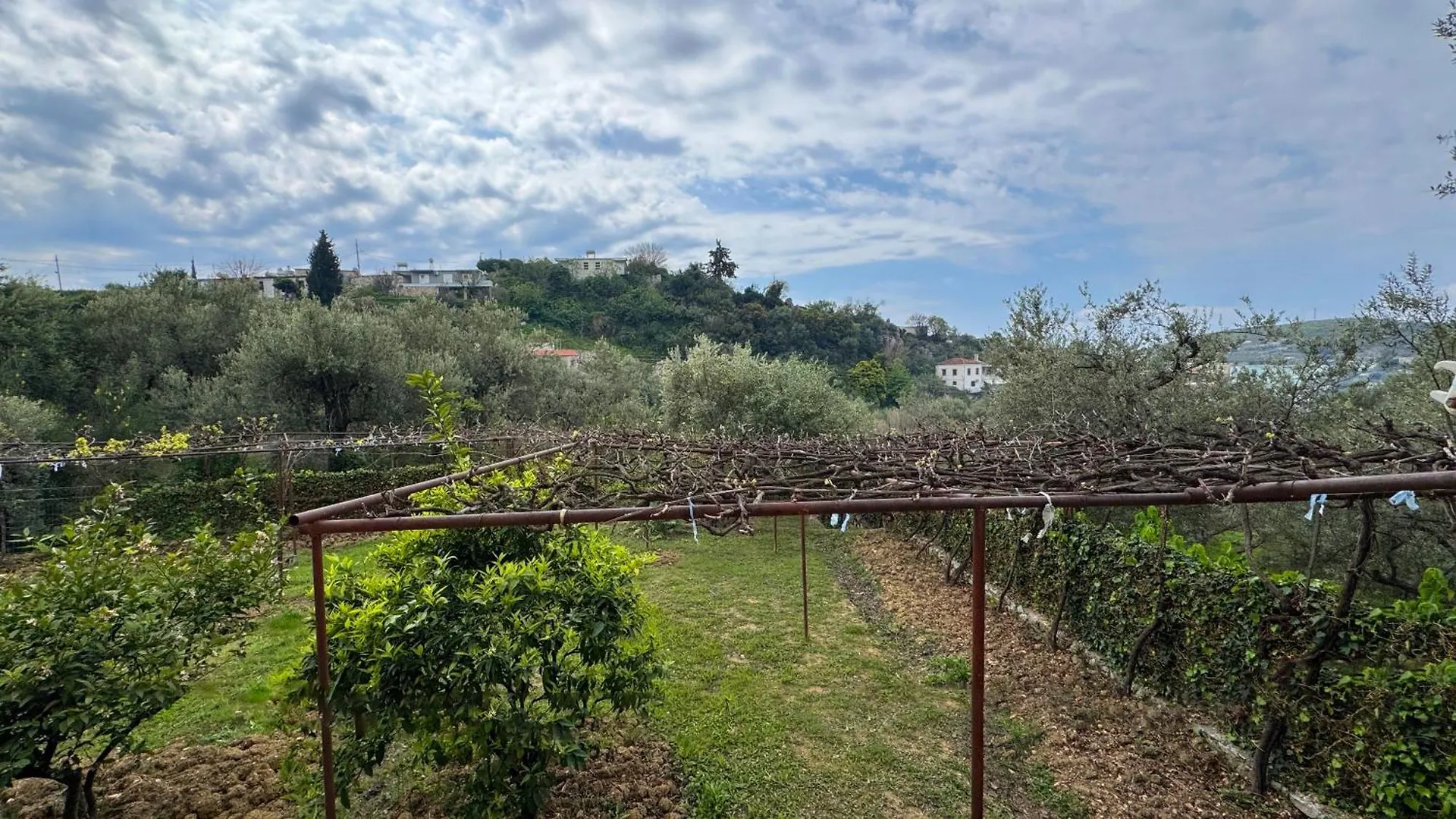 Antonia Rooms Qeparo